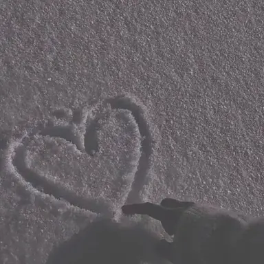 Profile image of 팀고빠