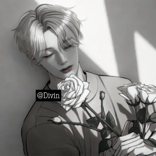 Divin의 정화음