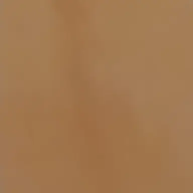 Profile image of 여우