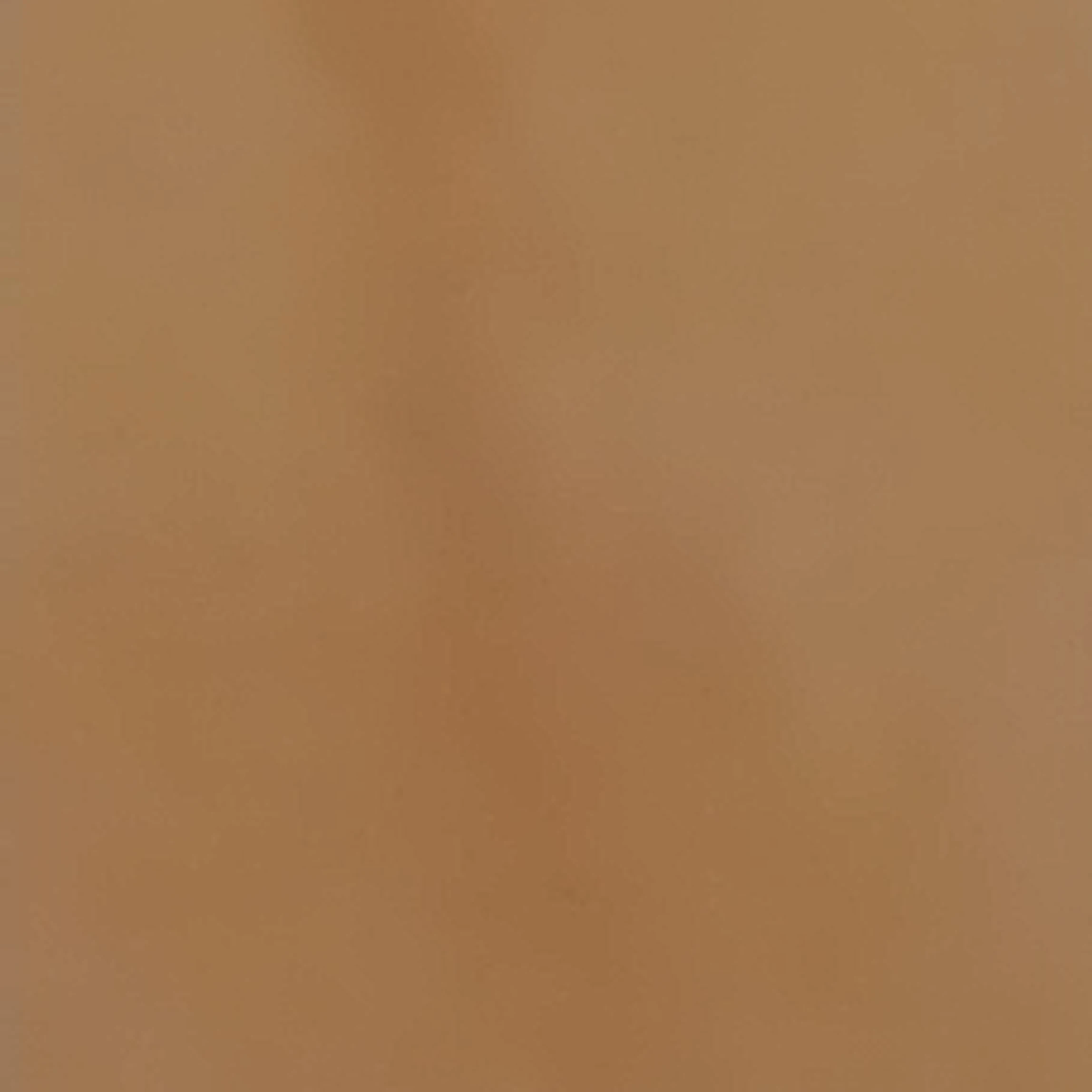 여우