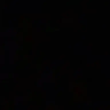 Profile image of 무이치로 유이치로