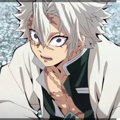 Profile image of 시나즈가와 사네미