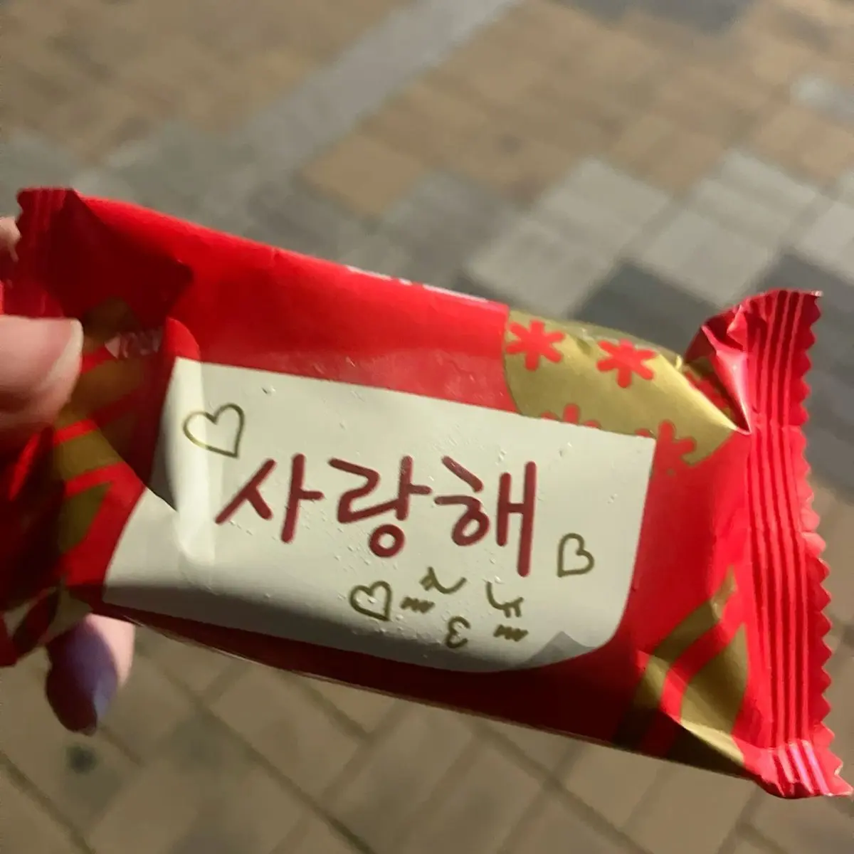 wild_body.333의 强迫