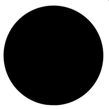 Profile image of 飛龍
