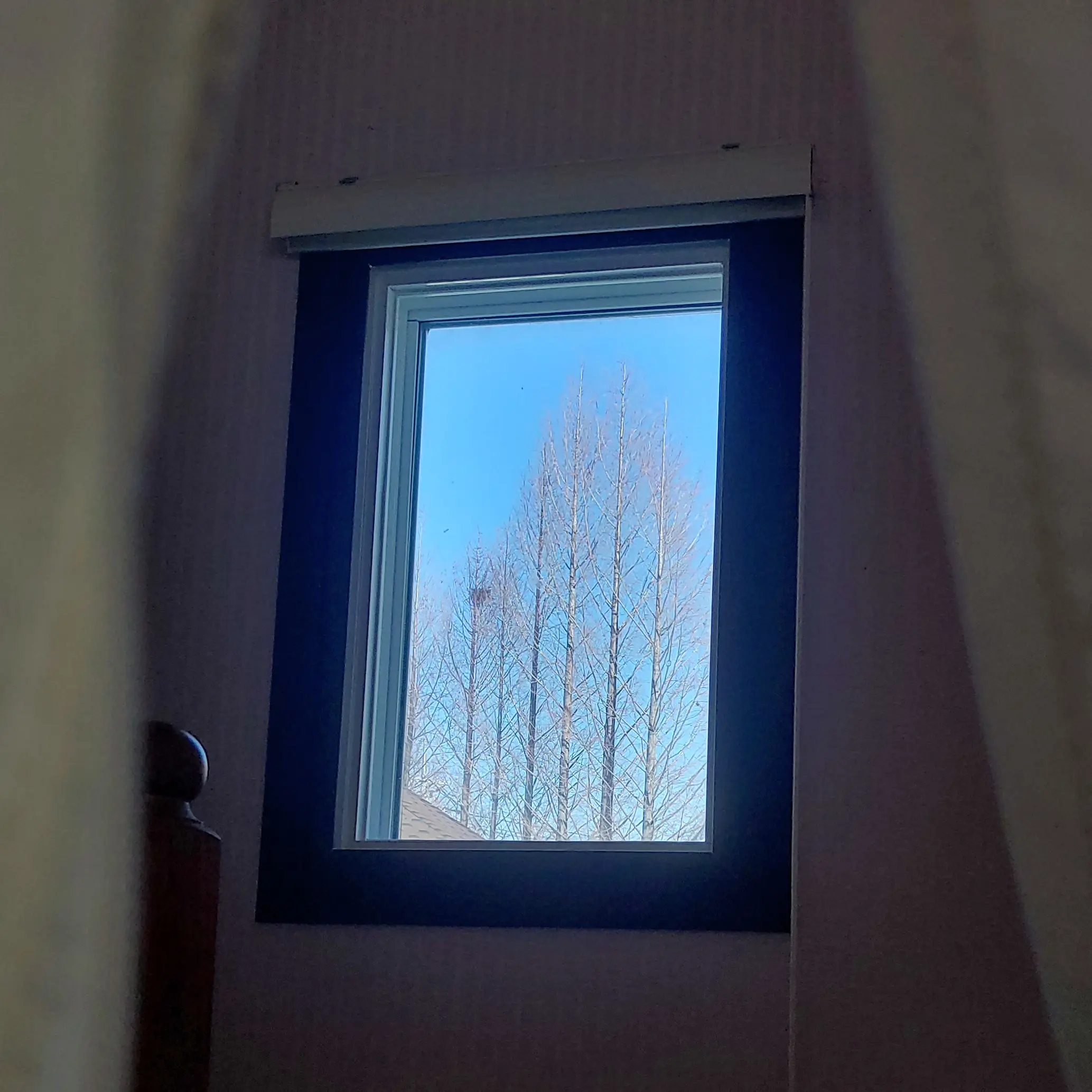 MeagerDice0022의 보호자