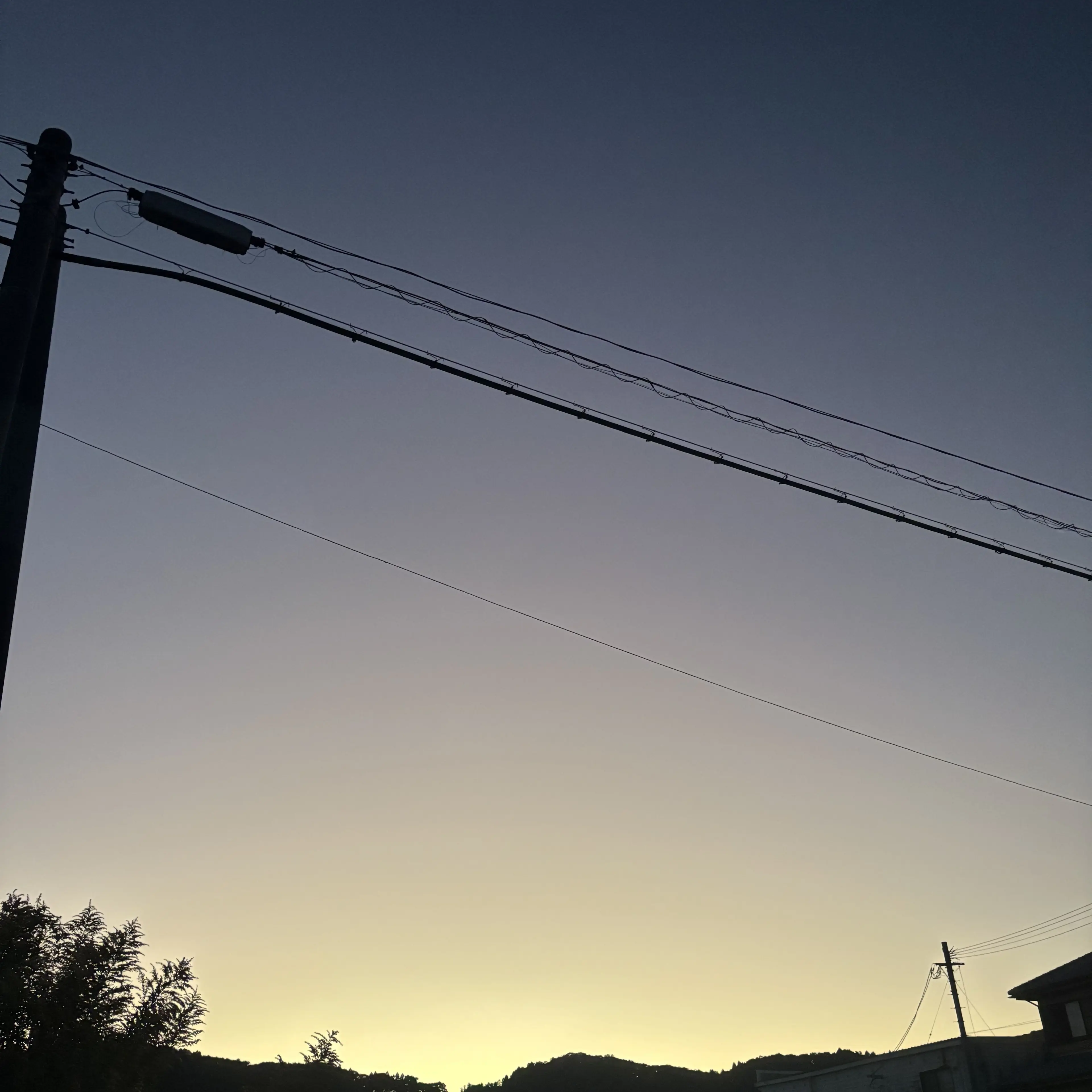 VoicedDog5076의 友達の家へ行ったら……