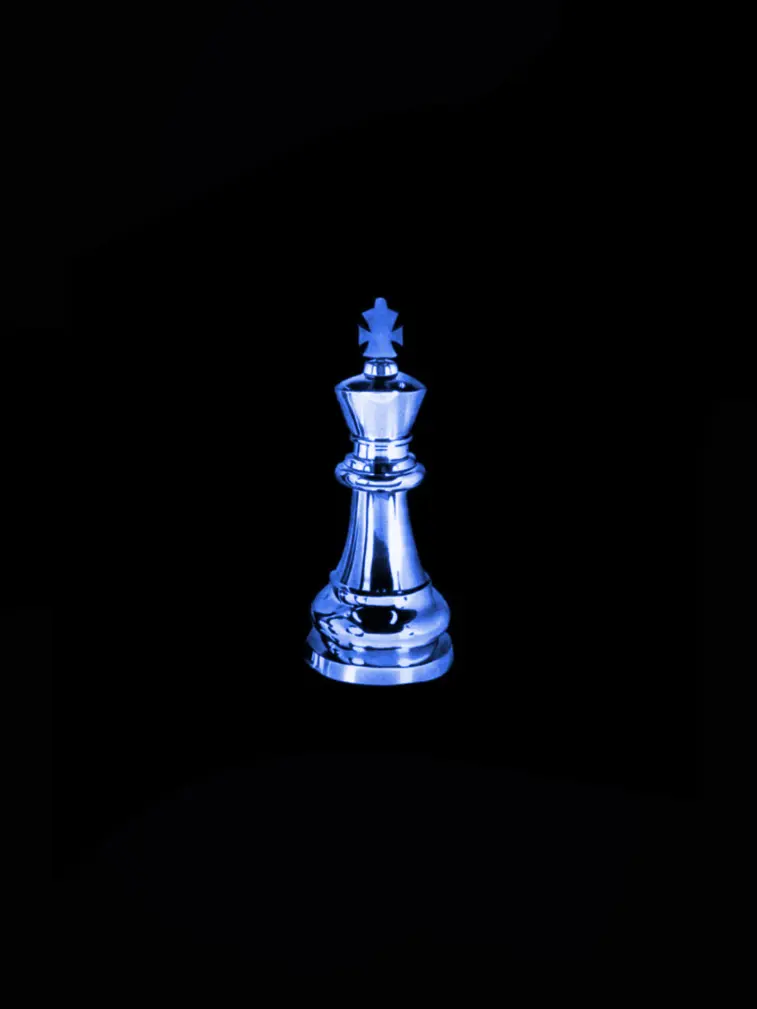 Darling_929의 首輪