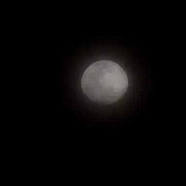 Profile image of Inosuke