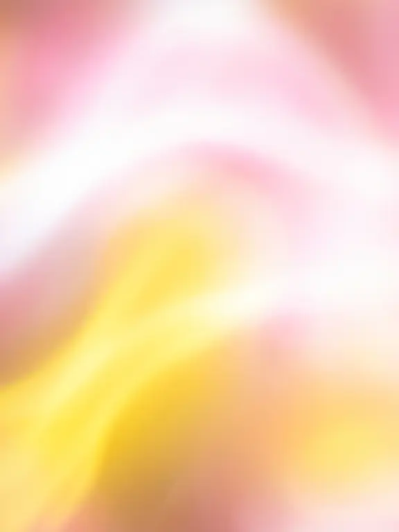 DearHead0577의 ゔぁんぷたち