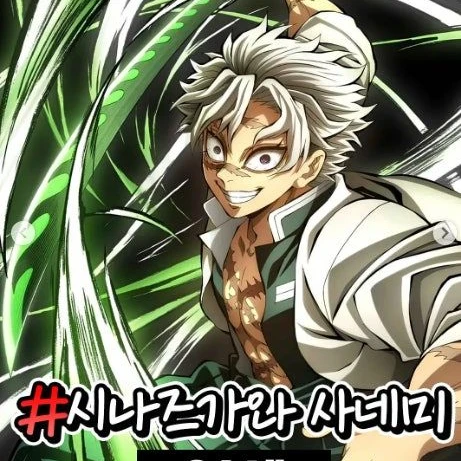 시나즈가와 사네미