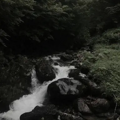 Profile image of 한이혁