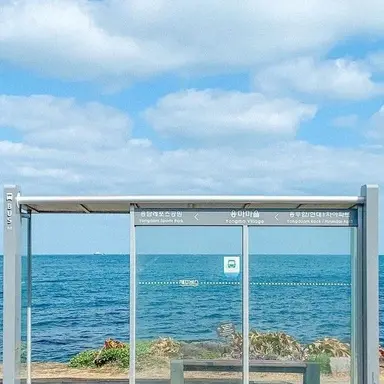 Profile image of 최가온