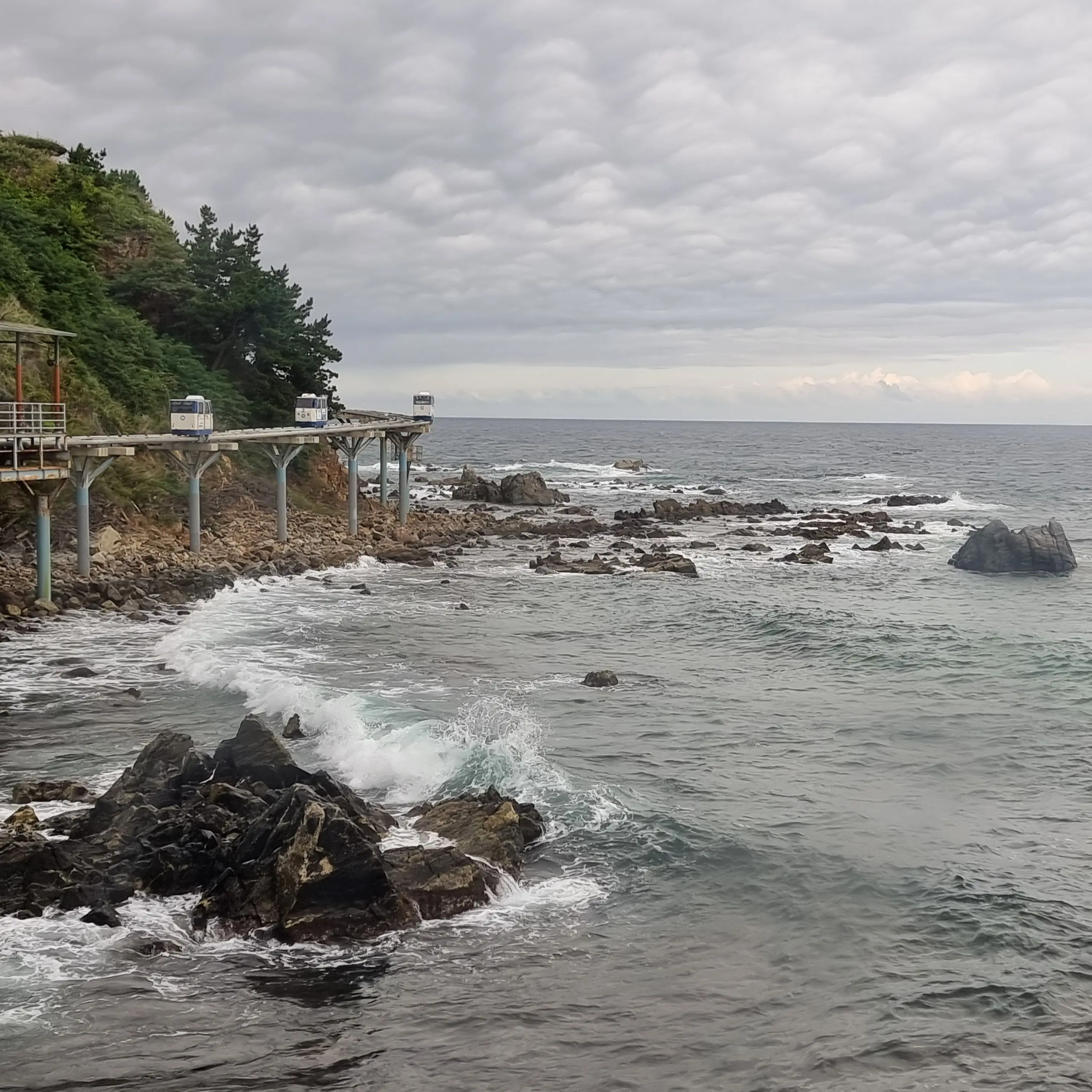 StrictPrint7152의 세봉고