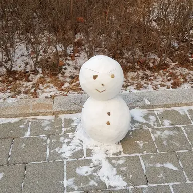 Profile image of 하무드하비비