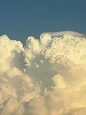 Evade_darling.의 ネッ友。