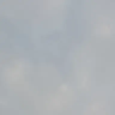 Profile image of 자유
