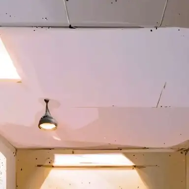 Profile image of Chloe