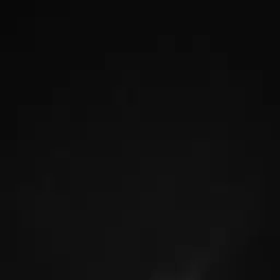 Profile image of 이 혼