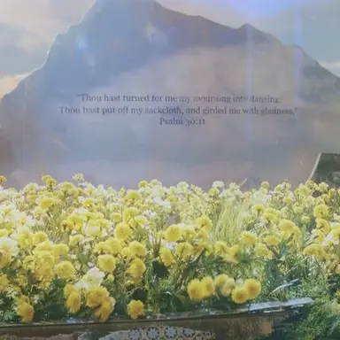 Profile image of ヨンベ