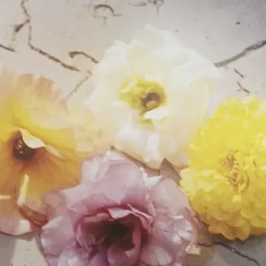 Profile image of ジヨン