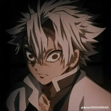 Profile image of 시나즈가와 사네미