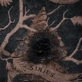 _hyun3의 Sirius Black