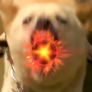 Profile image of 次世代型闘犬種A