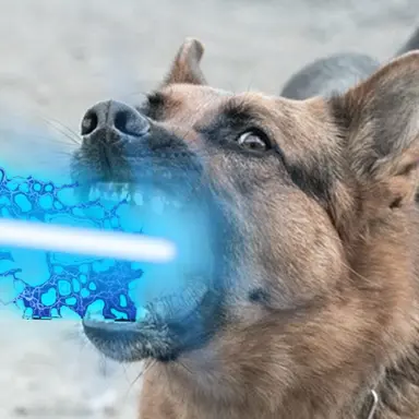 Profile image of 次世代型闘犬種D