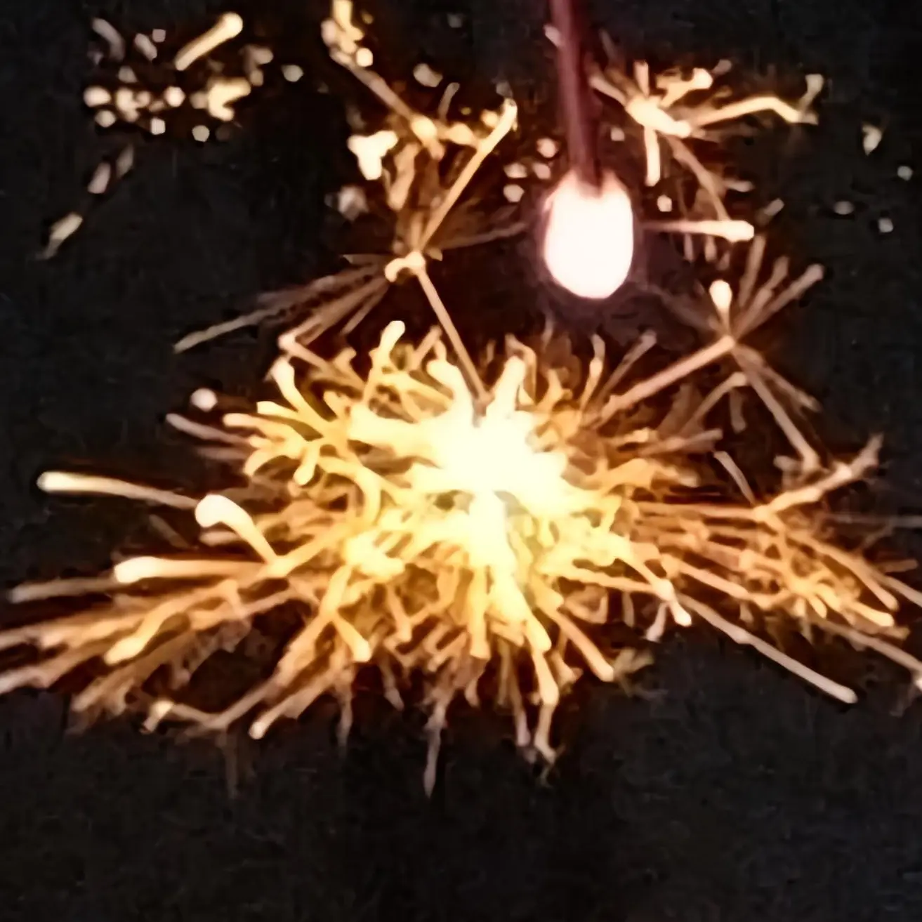 mongrel.의 ｢どうか教えてくれませんか？｣