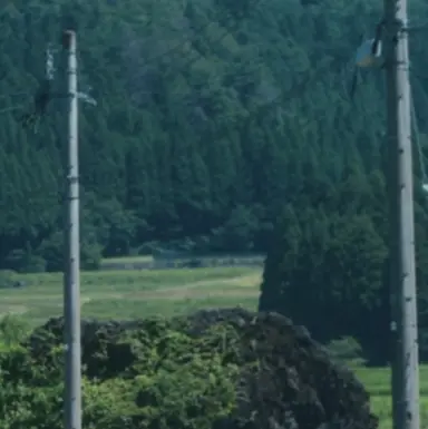 Profile image of 姫川 美咲