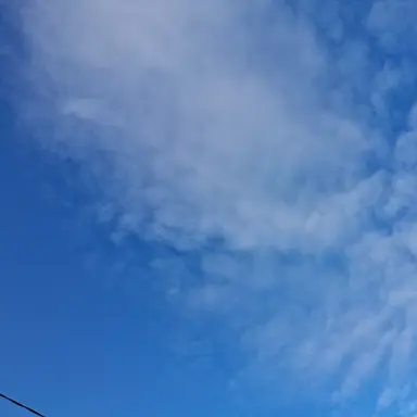 Profile image of 청자화