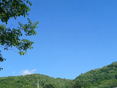 Profile image of 서라더