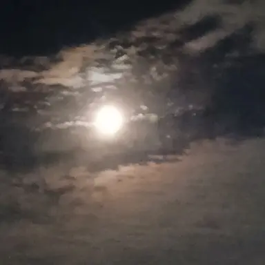 Profile image of 황수현