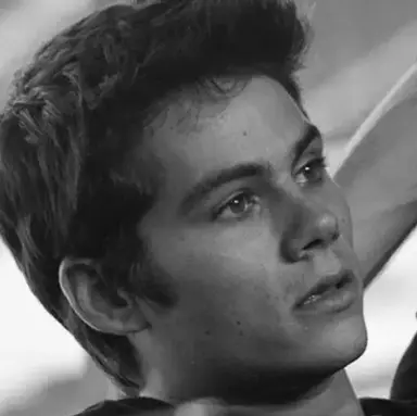 Profile image of Dylan