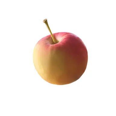 Profile image of 금 달음