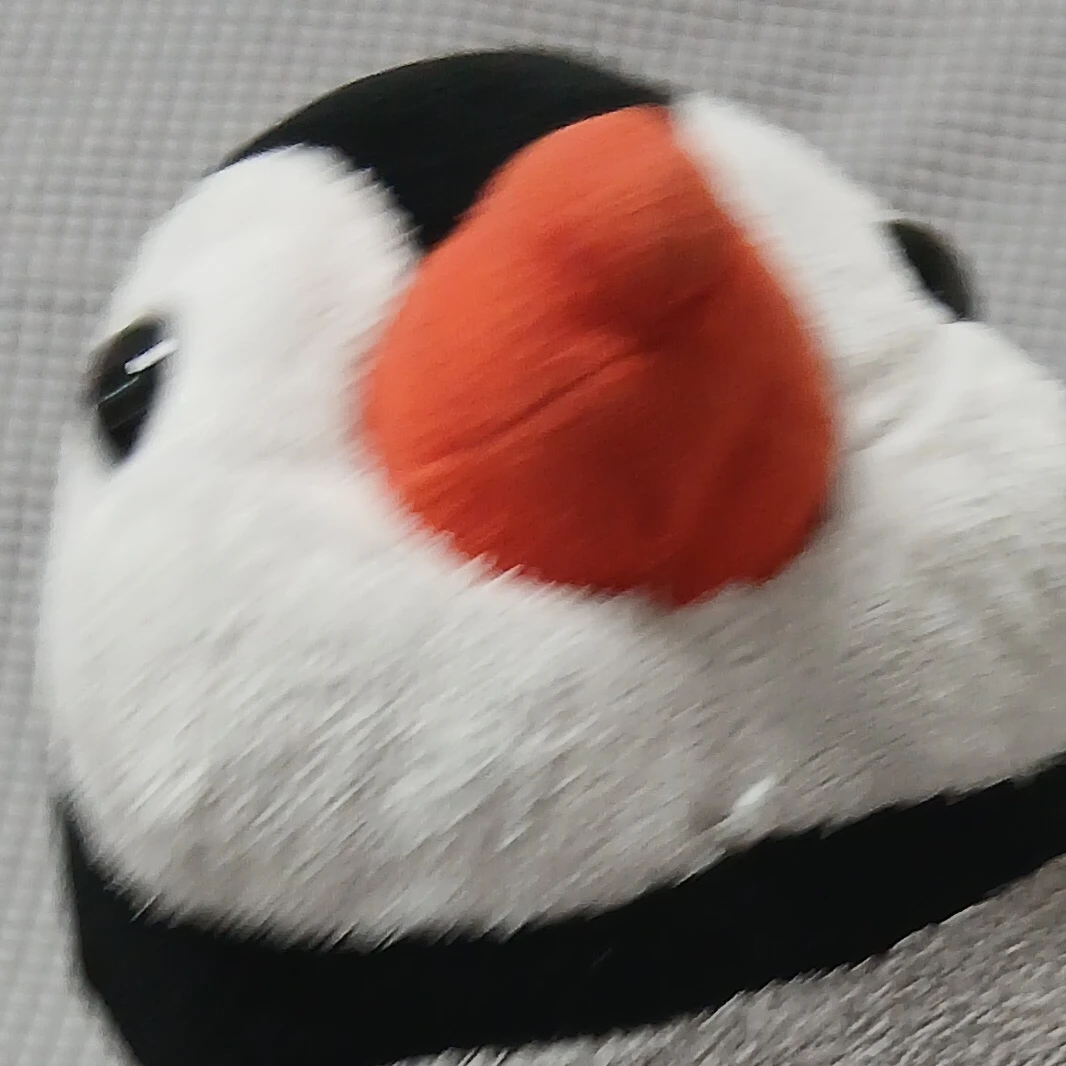 펭기니