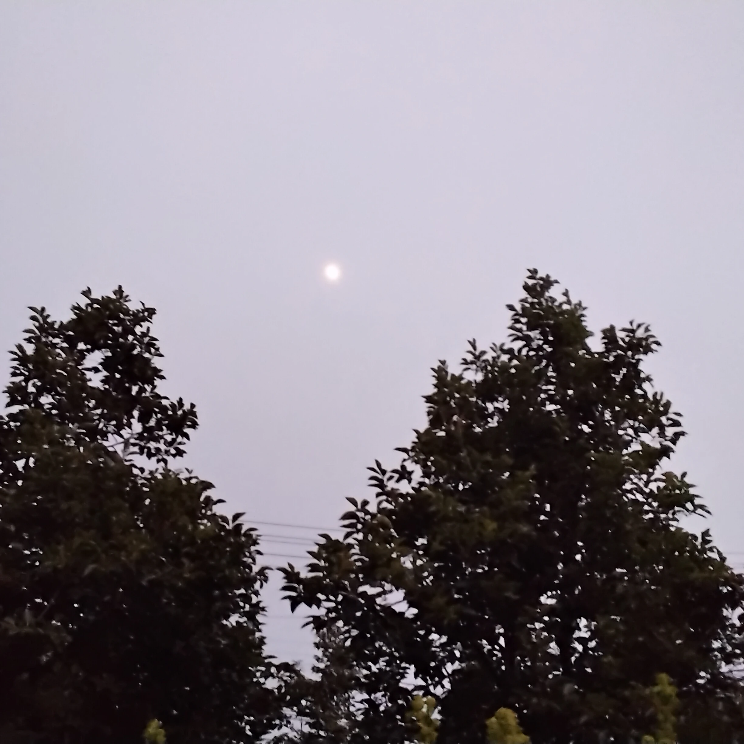 야다키
