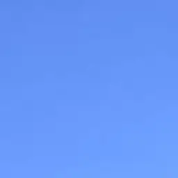 Profile image of 主