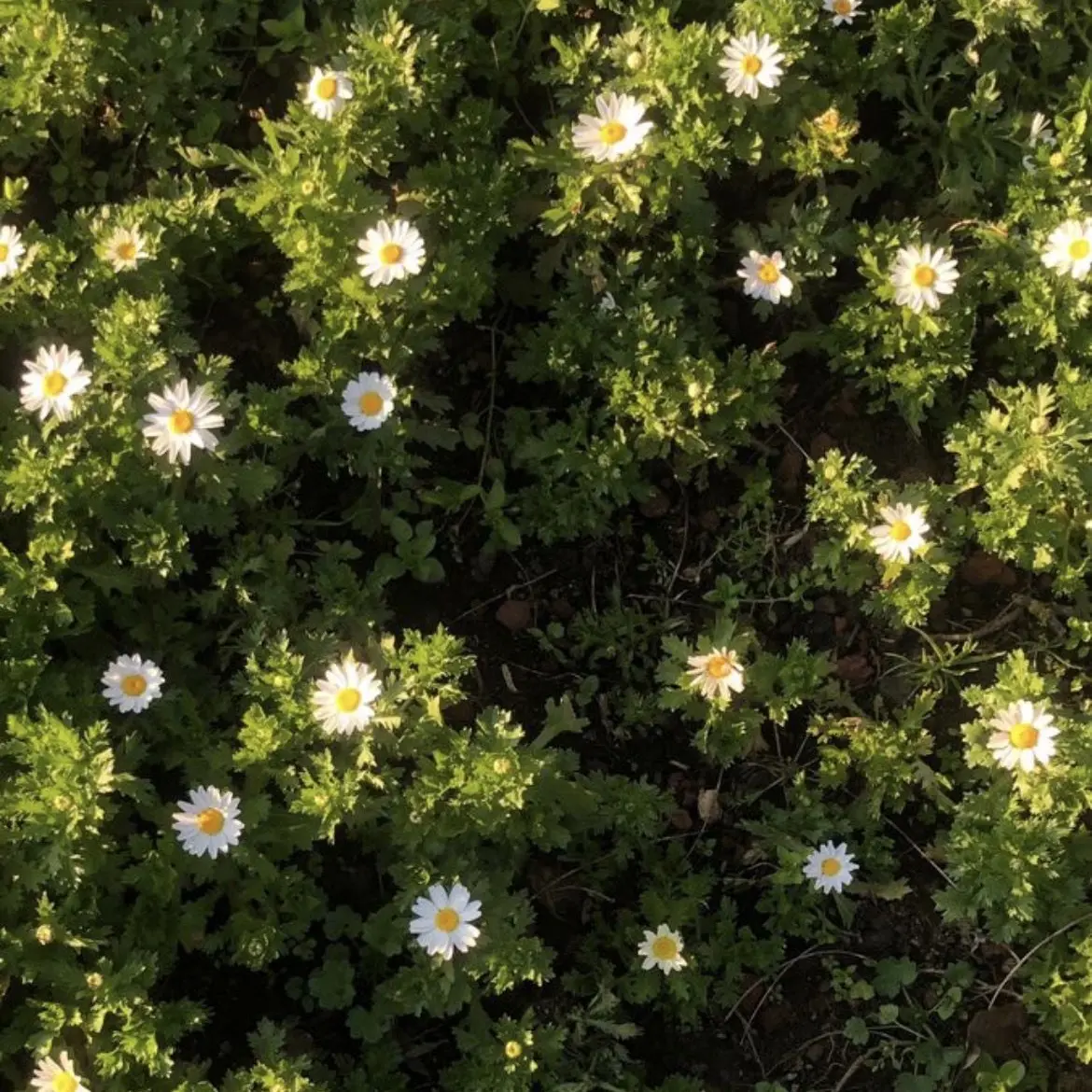 CostlyShed6556의 당신이 만들어가는 이야기