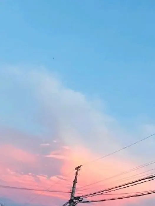 Panako의 好きな人ができてしまった、。。