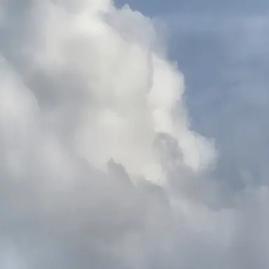 Profile image of 집사