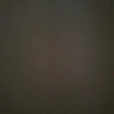 Profile image of 박도민