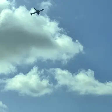 Profile image of 오토 레이니