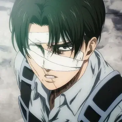 SwiftMoon5388의 Levi Ackerman