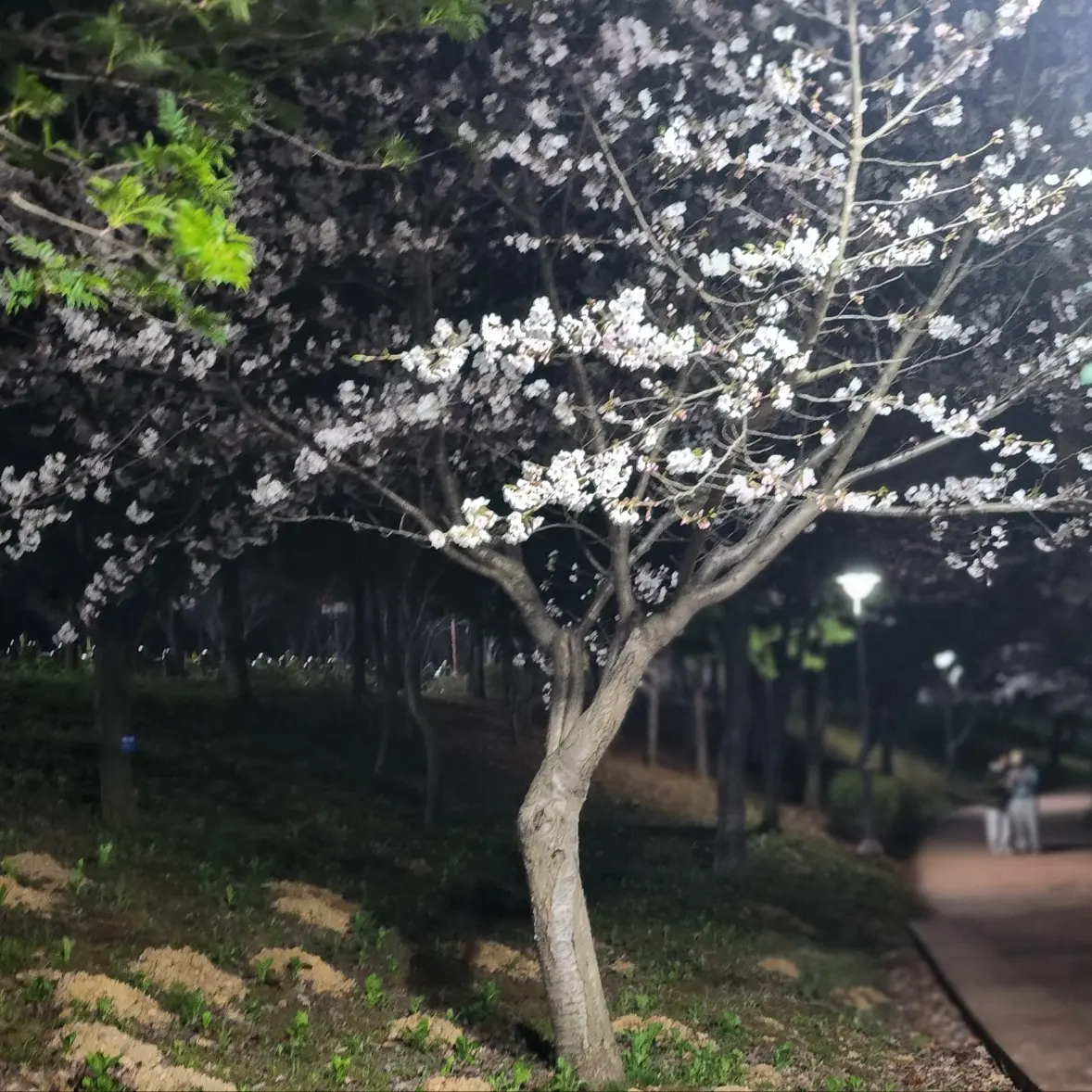 KS_0331의 Ch virtual world