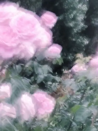 XoX....의 問題児のくせに、目を離せない