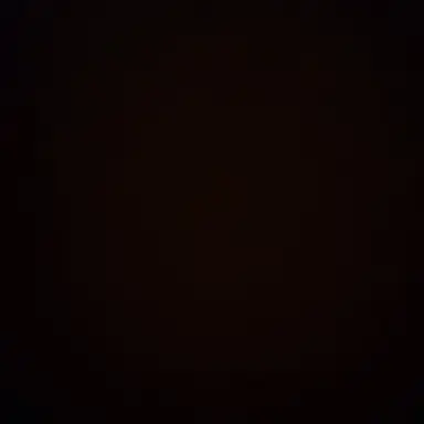 Profile image of 전여친