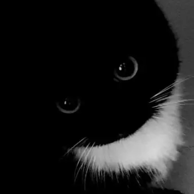 Profile image of 루이