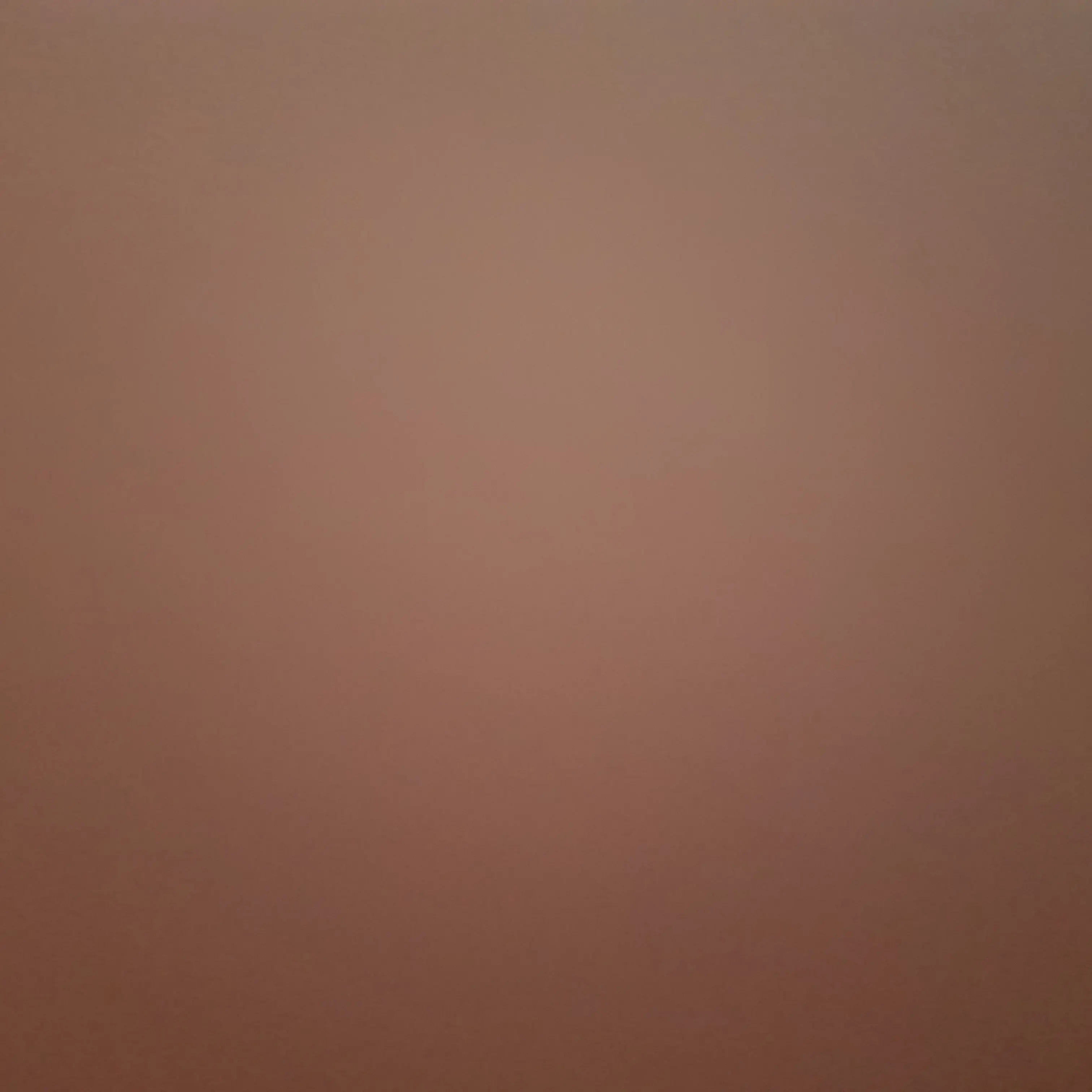 CustomCliff1275의 후지나가 사쿠야