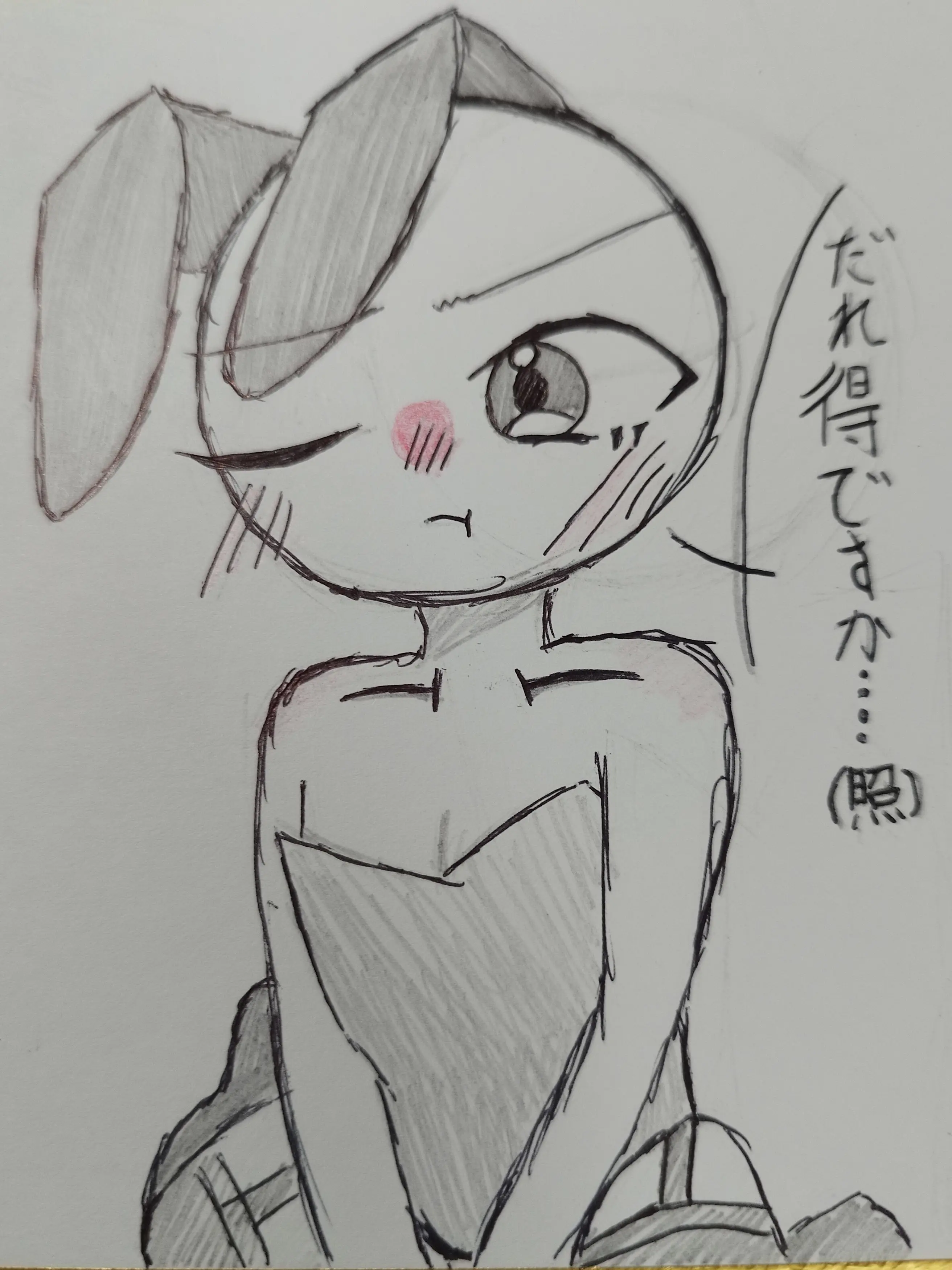 HappyCRAZY의 バニー最高!!!バニー最k((((((殴